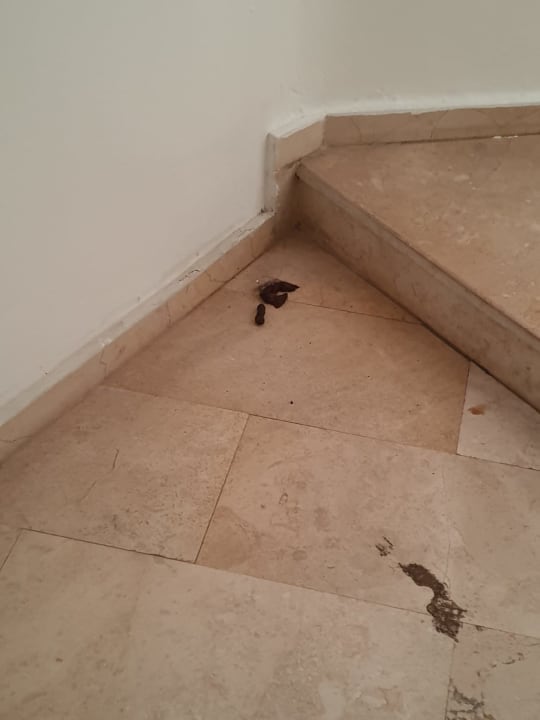 Sonstiges Azak Beach Hotel