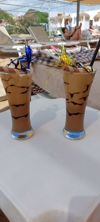 Gastro Seashell Vega