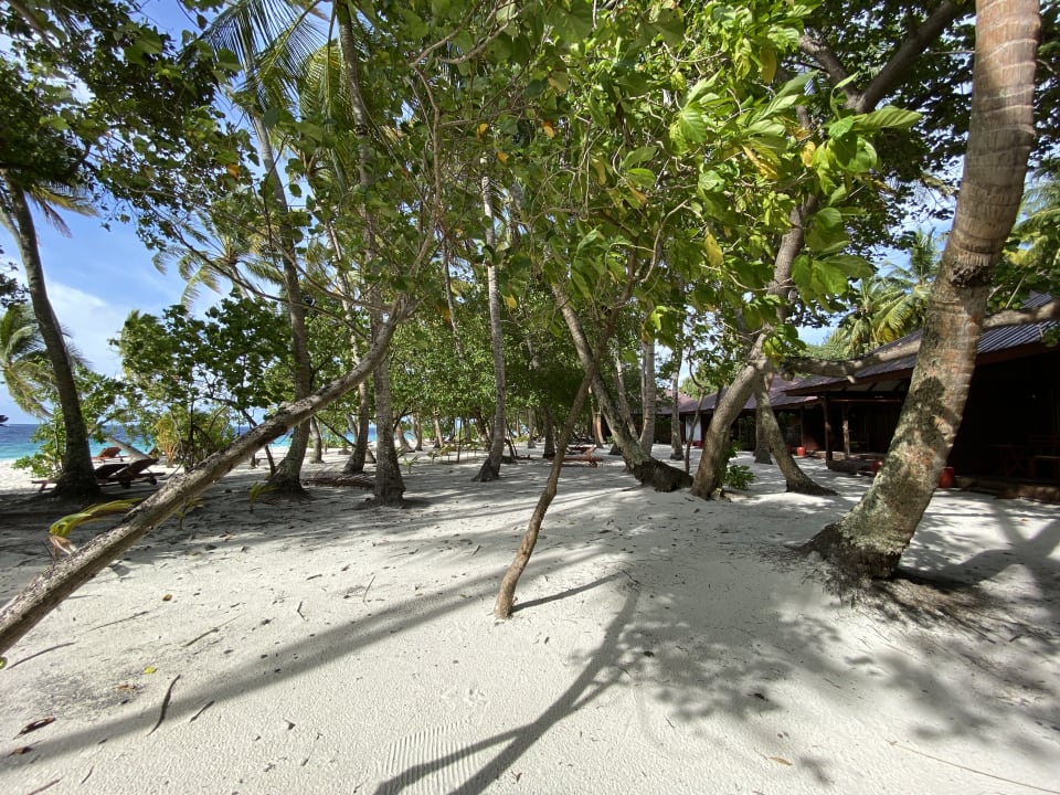 Außenansicht Filitheyo Island Resort