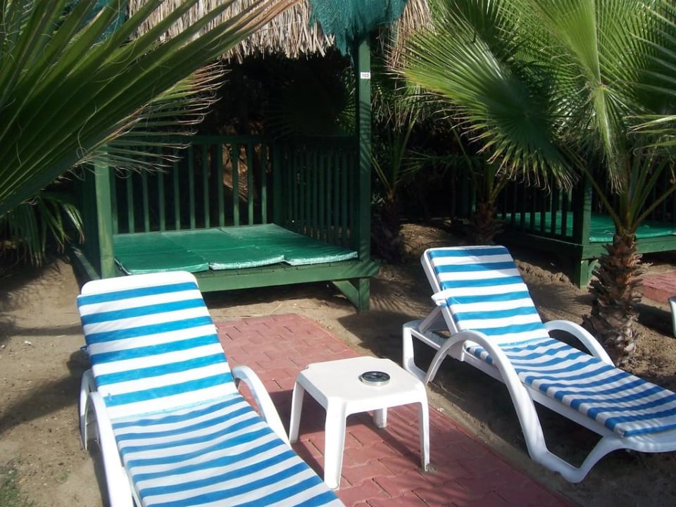 Liegen am Strand Hotel Delphin Palace