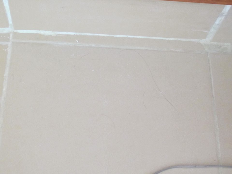 Und noch mehr Haare Riviera Aqua Park Resort