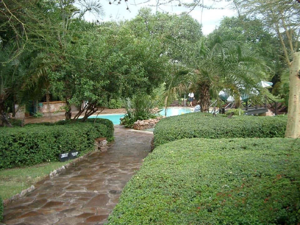 Poolanlage Hotel Mara Sarova Camp