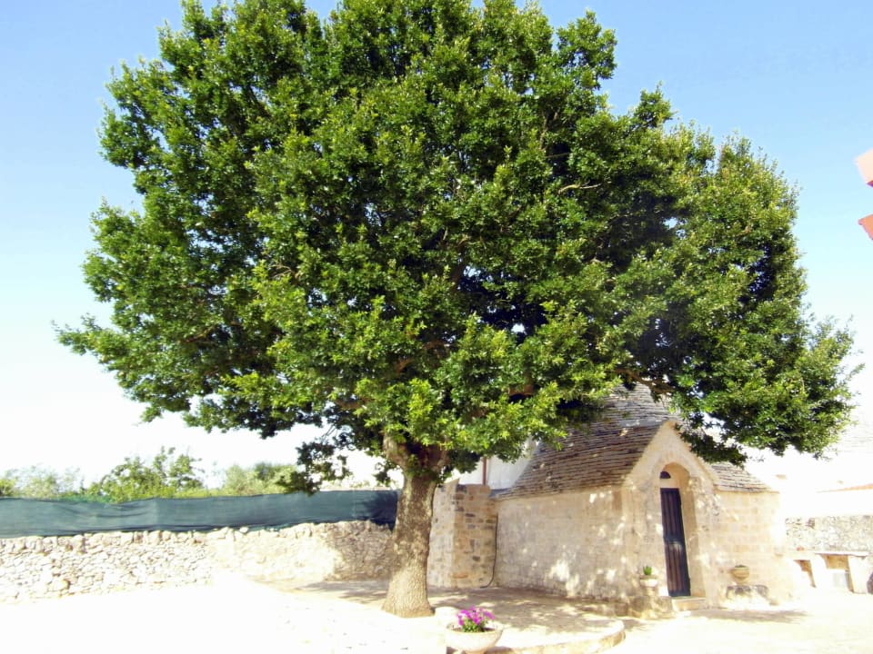 Trulli für Gäste Trulli Pietra Preziosa