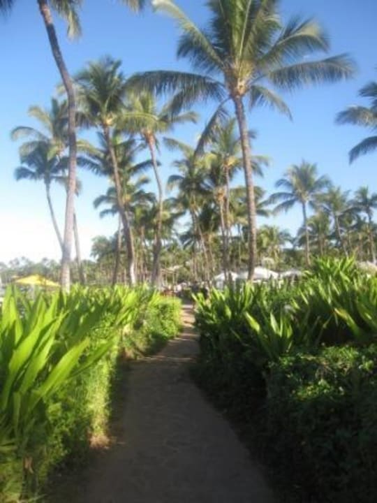 Uferpromenade Grand Wailea A Waldorf Astoria Resort