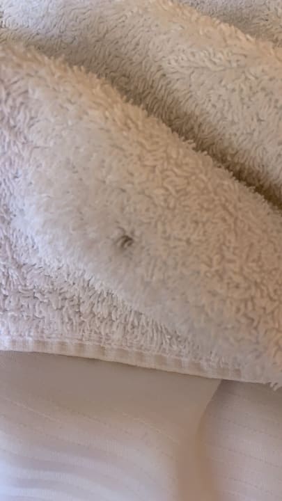 Sonstiges Hotel Spreewitz am Kurfürstendamm