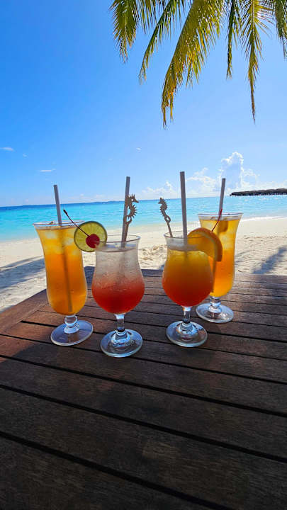 Gastro Vilamendhoo Island Resort & Spa