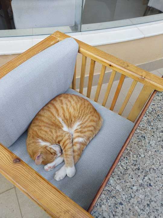 Außenansicht Stella Garden Resort & Spa, Makadi Bay