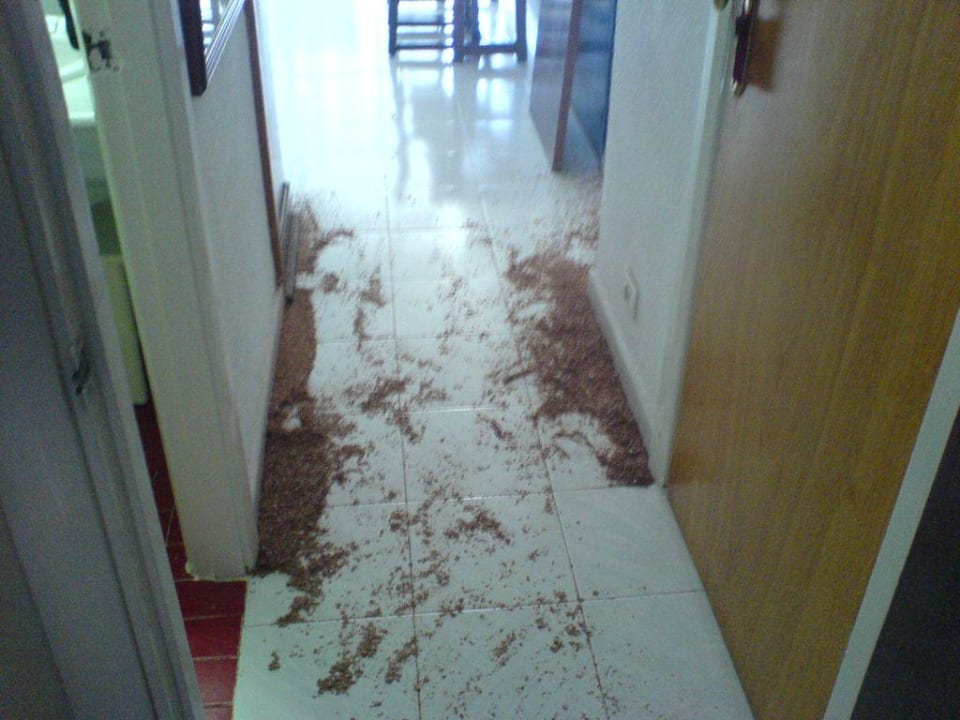 ohne Worte Hotel Europalace