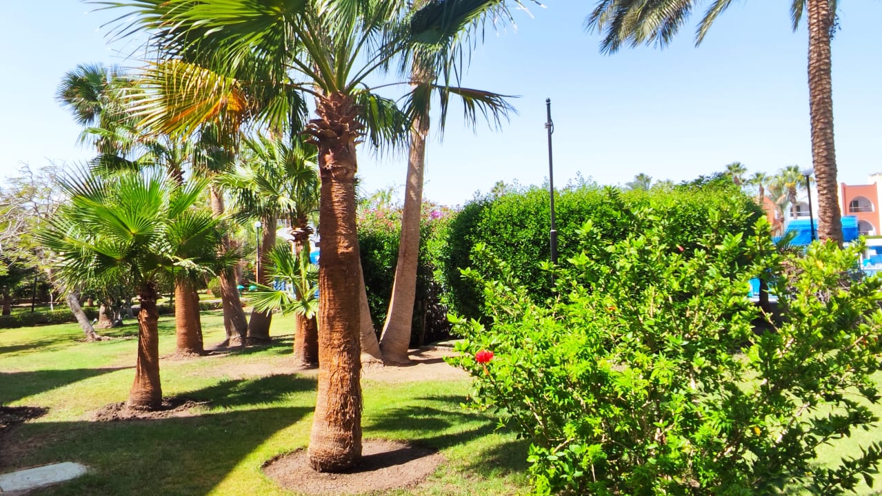 Gartenanlage Arabia Azur Resort