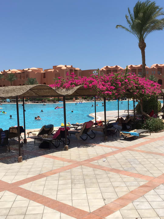 Pool Jaz Makadi Oasis Resort