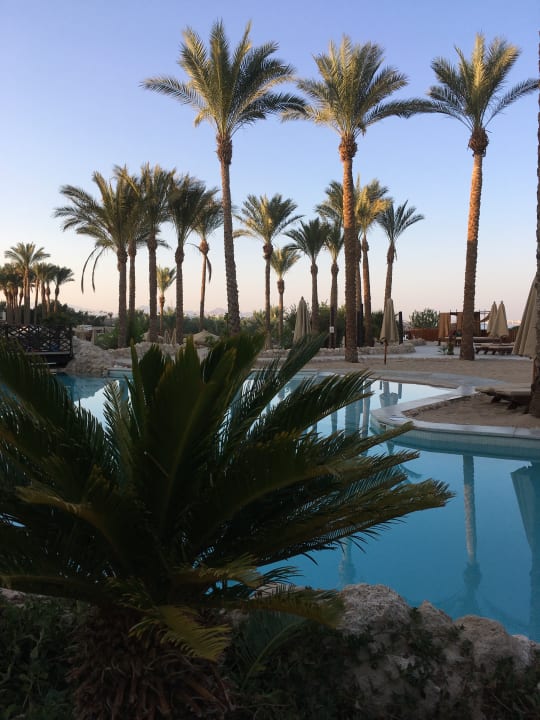 Pool The Grand Hotel Sharm El Sheikh