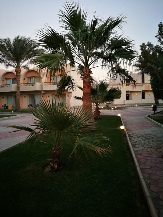 Garten Three Corners Sea Beach Resort