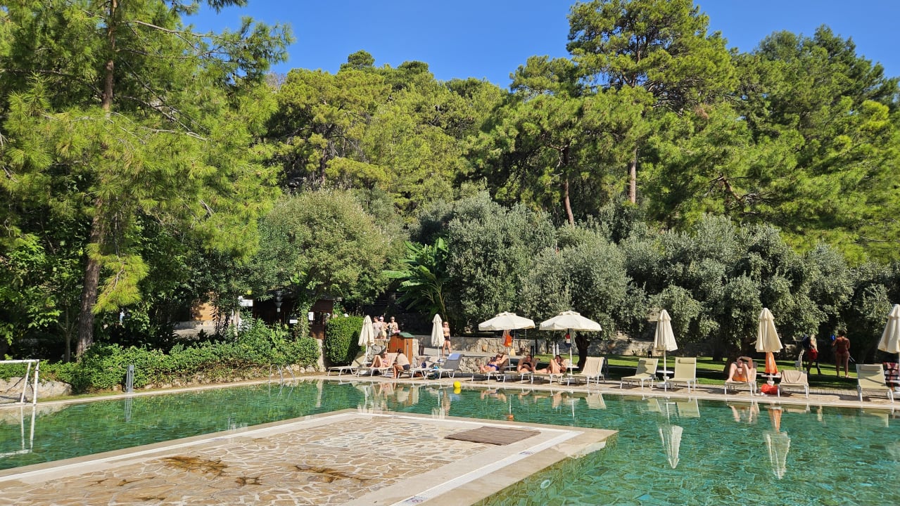 Pool TUI BLUE Seno - Adults Only