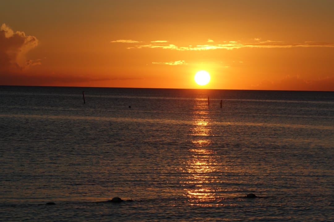 Strand Hotel Viva Dominicus Palace by Wyndham-All Inclusive Resort