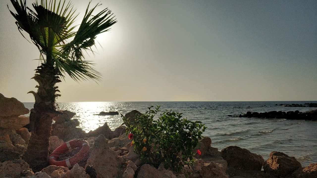 Ausblick Pickalbatros Citadel Resort