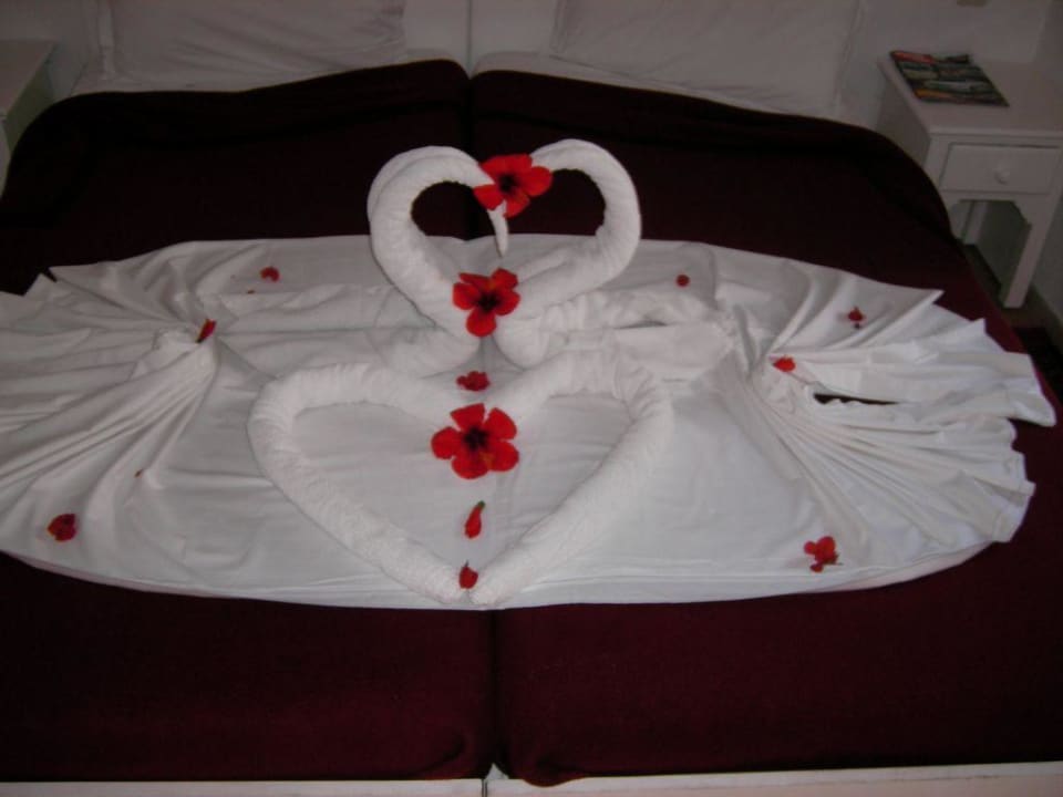 Das Bett Royal Karthago Djerba