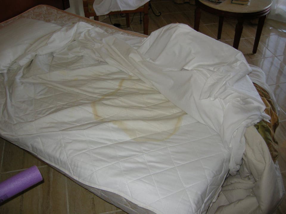 Sauberkeit in unserem teuren Zimmer! Malikia Resort Abu Dabbab