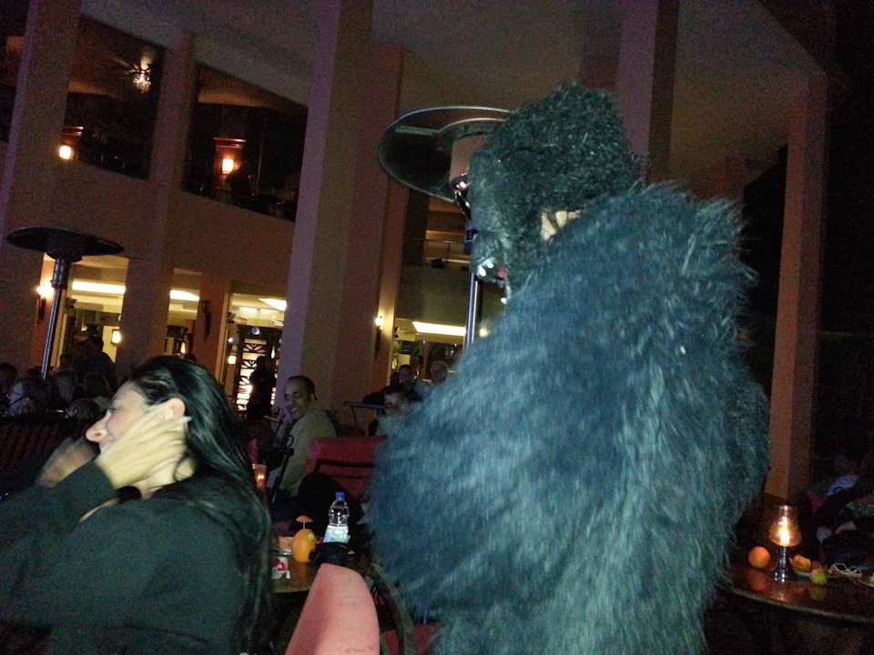 Hotel BEACH Albatros Resort & Spa Beach Albatros Resort