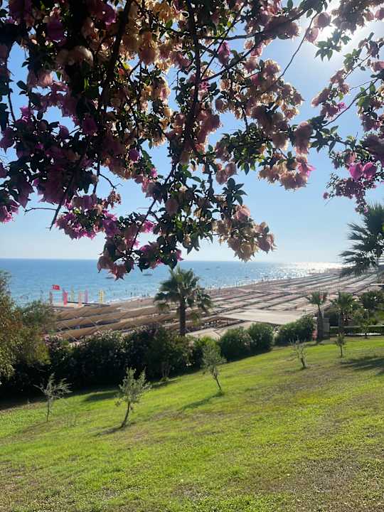 Ausblick Can Garden Resort