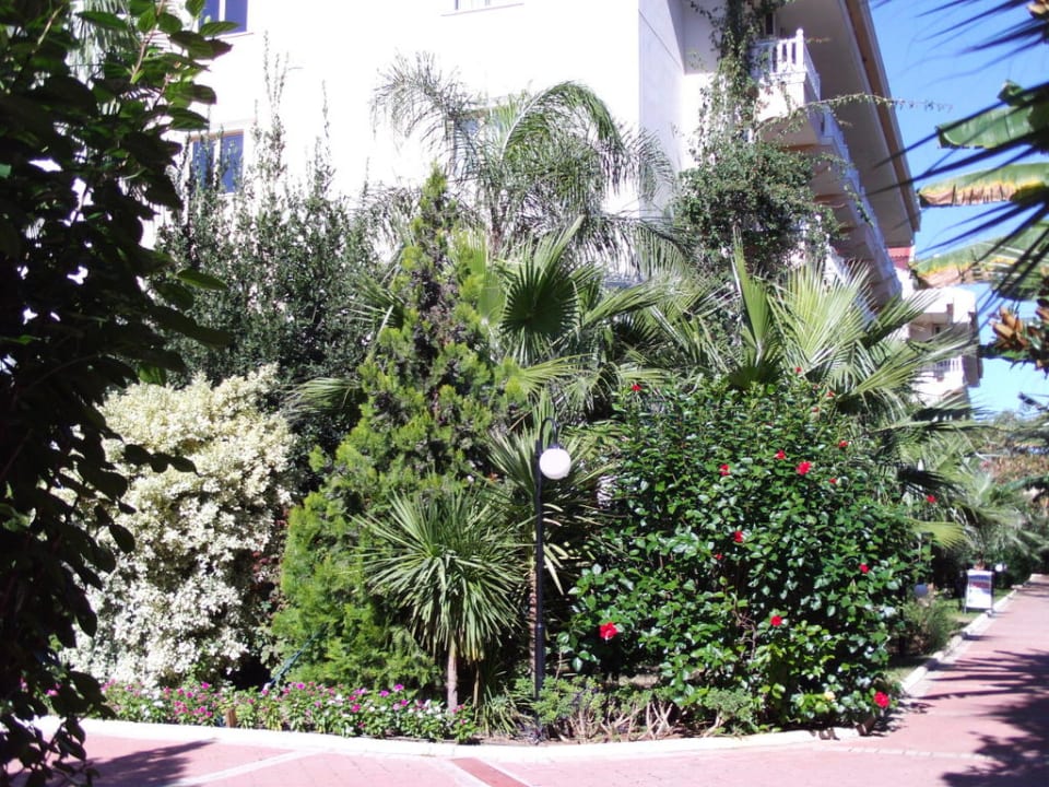 Garten Aydinbey Famous Resort