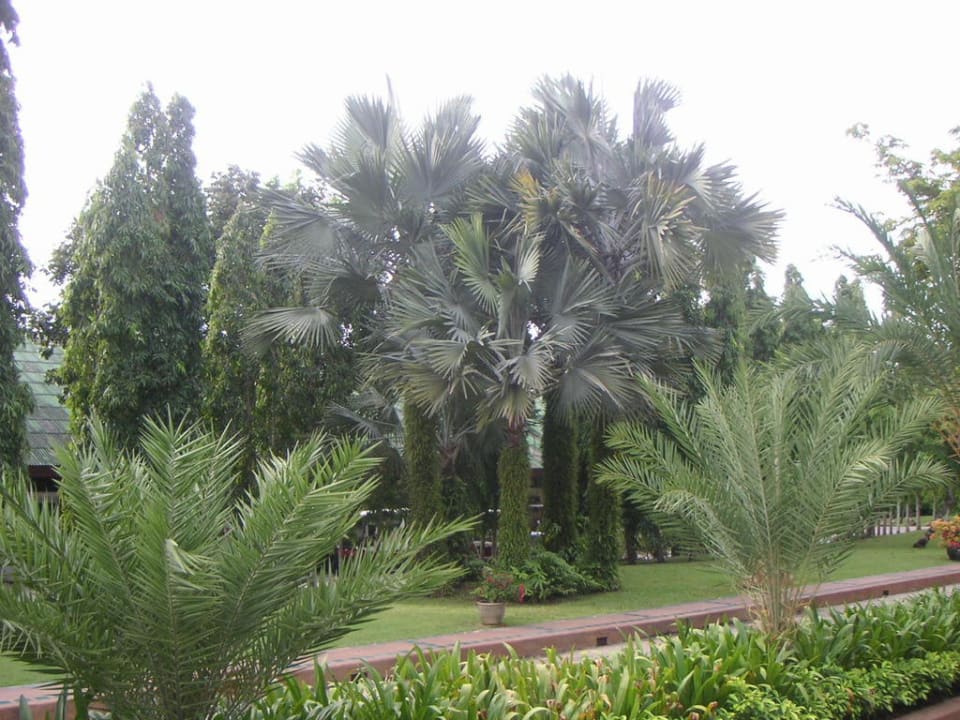 Garten Santiburi Koh Samui