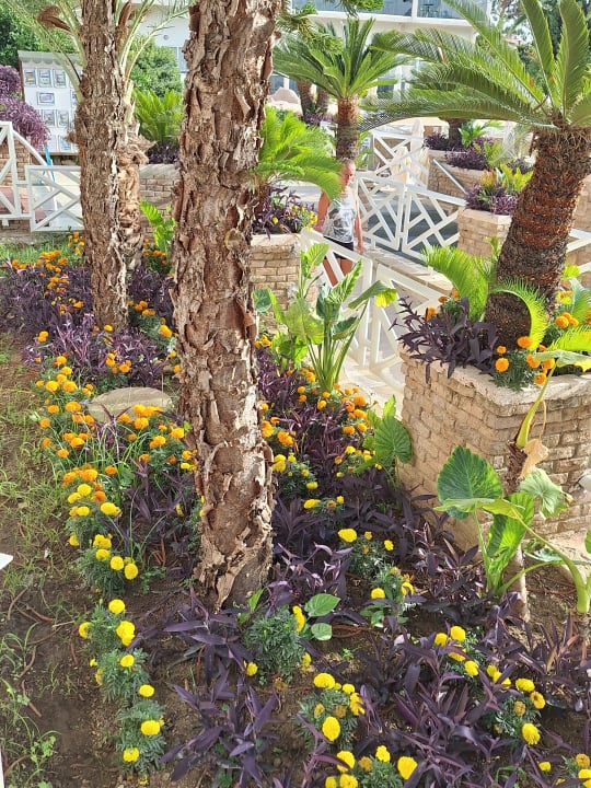 Gartenanlage Seaden Corolla Hotel