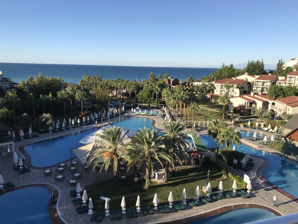 Ausblick Arum Barut Collection