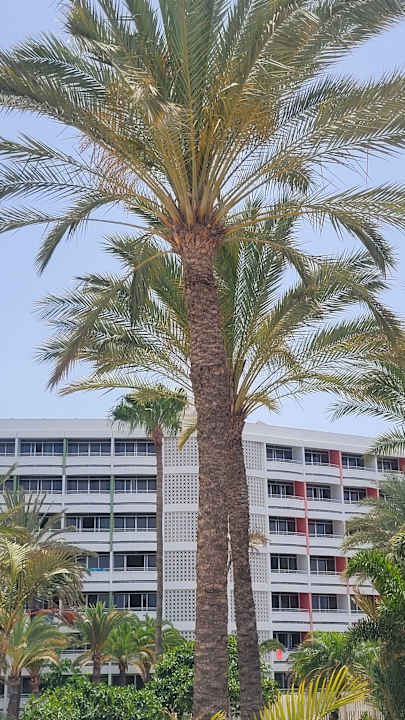 Außenansicht Abora Buenaventura by Lopesan Hotels