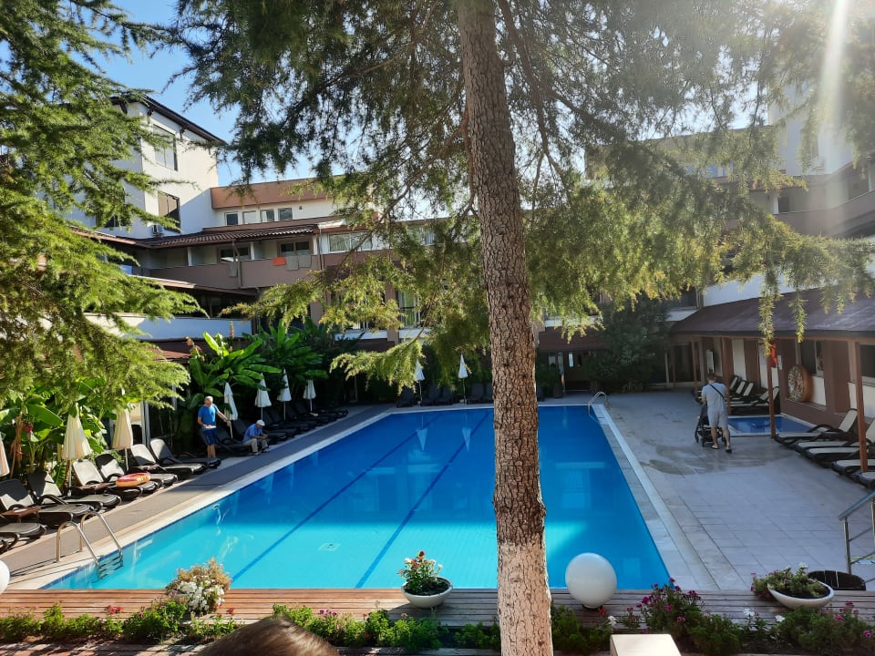 Pool Dg Hotels Rose Resort