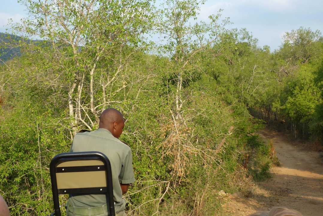 Auf Safari  Hotel Mkuze Falls Game Lodge