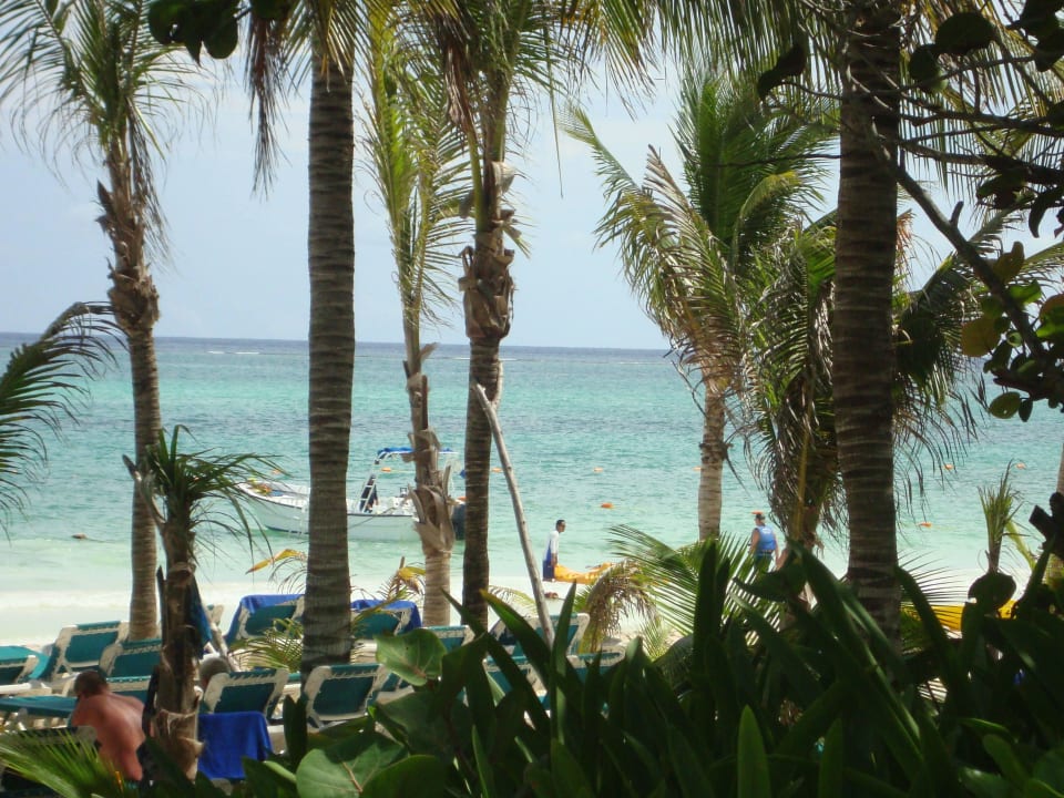 Hotel Catalonia Playa Maroma Catalonia Playa Maroma