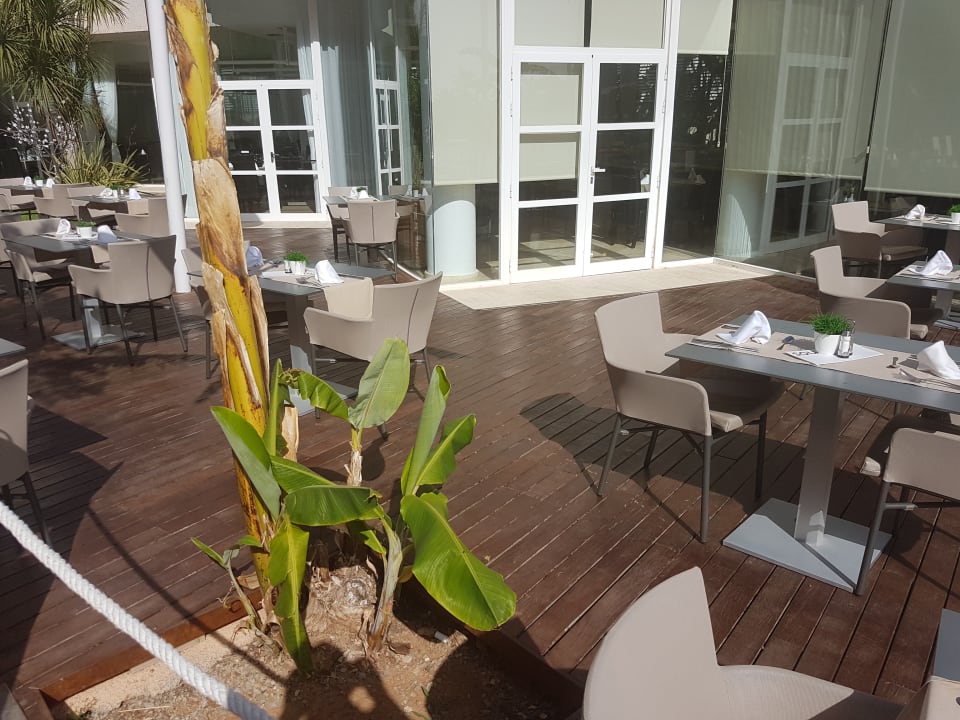 Gastro Hotel Zafiro Alzinar Mar