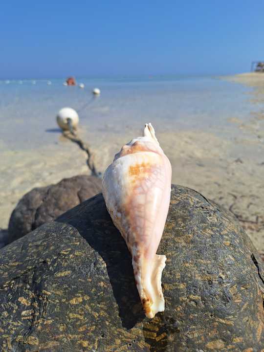 Strand MG Alexander The Great Hotel