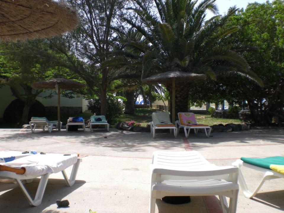 Gartenanlage SBH Fuerteventura Playa