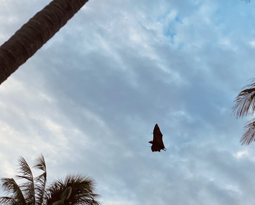 Ausblick Meeru Maldives Resort Island