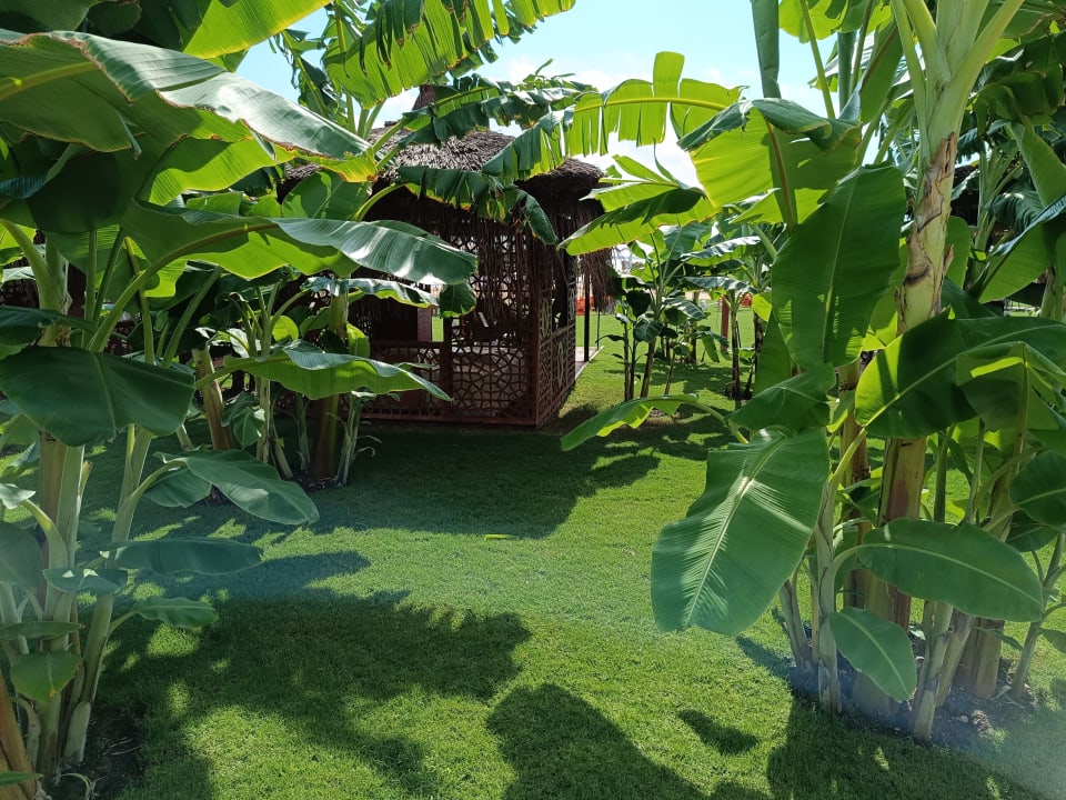 Strand VONRESORT Golden Coast