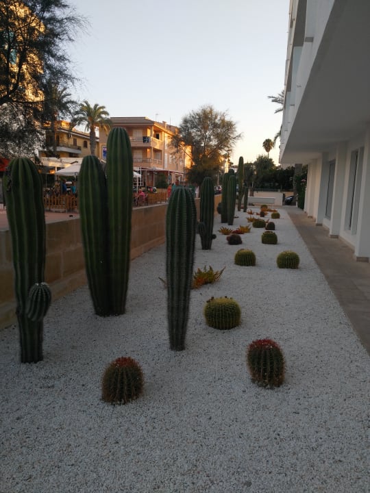 Gartenanlage The Sea Hotel by Grupotel - Adults only