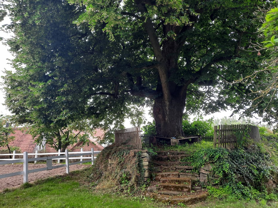 Gartenanlage Rittergut Burg Borgholz