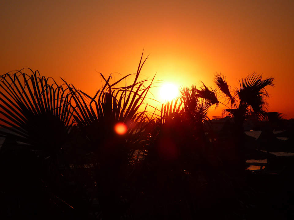 Sonnenaufgang im Aladdin Aladdin Beach Resort