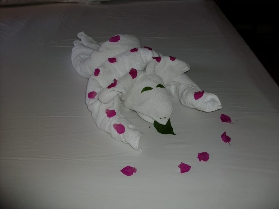 Zimmer Jaz Makadi Oasis Resort