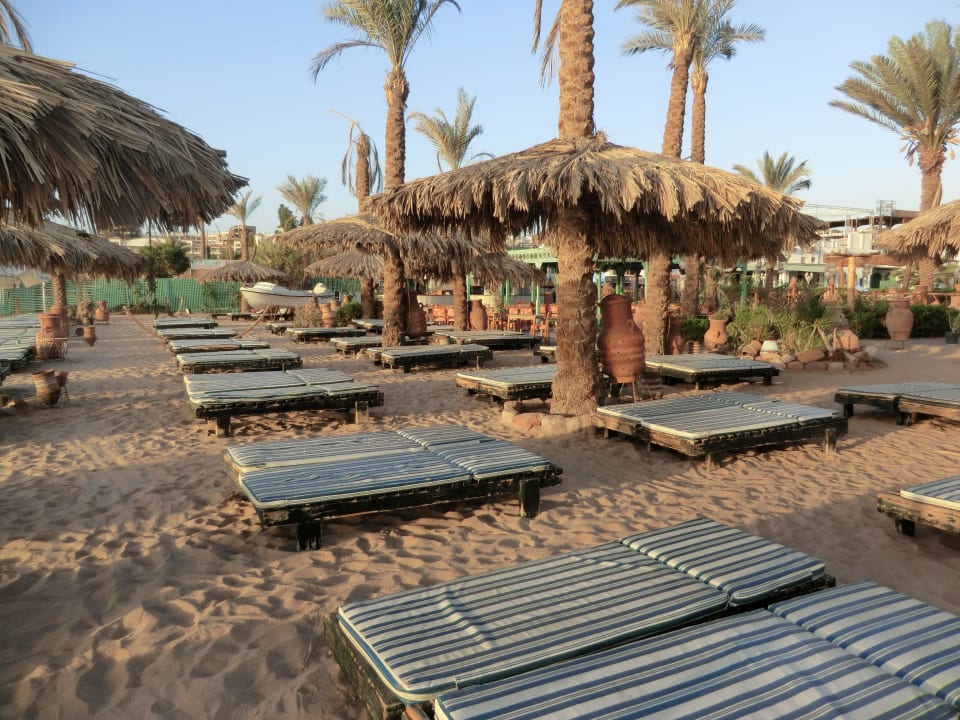 Strand um 6 Uhr in der Früh Ghazala Gardens