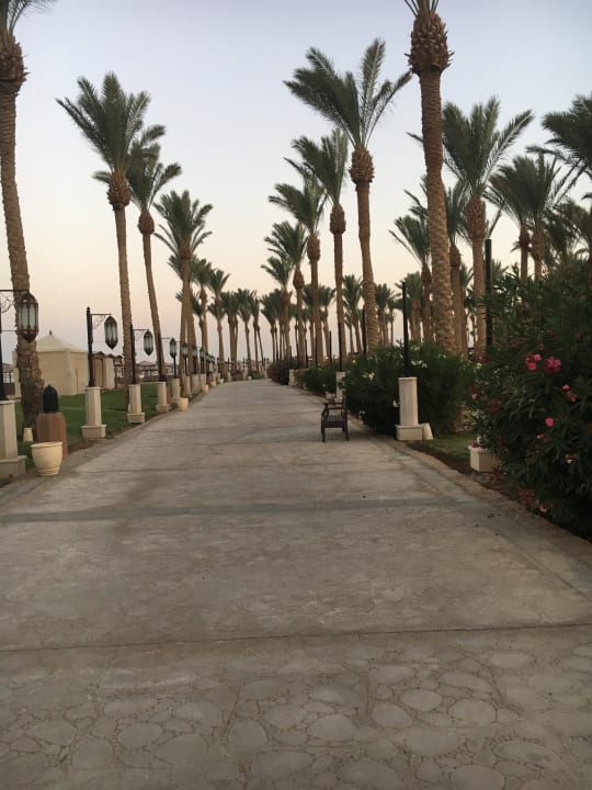 Sonstiges Makadi Palace