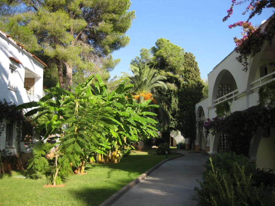 Bungalows TUI MAGIC LIFE Cala Pada