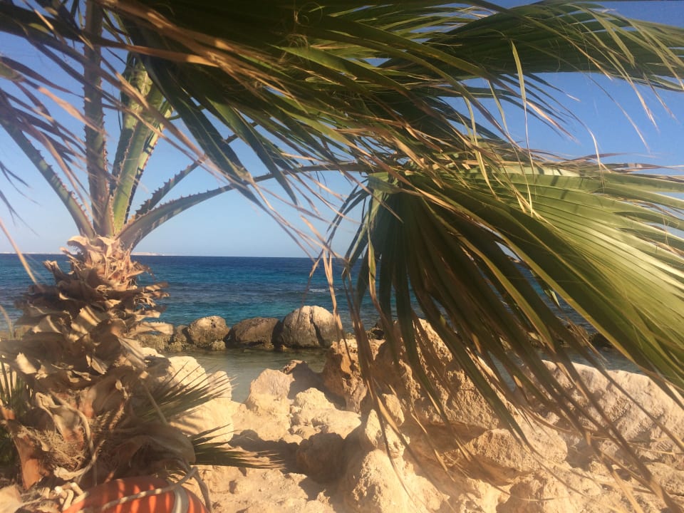 Strand Pickalbatros Citadel Resort