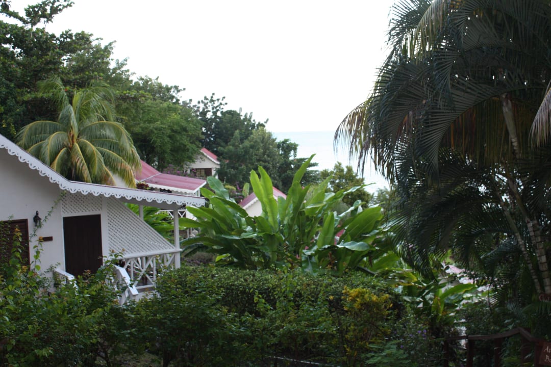Hotel im Dschungel-Bungalows Ti Kaye Resort & Spa - Adults only