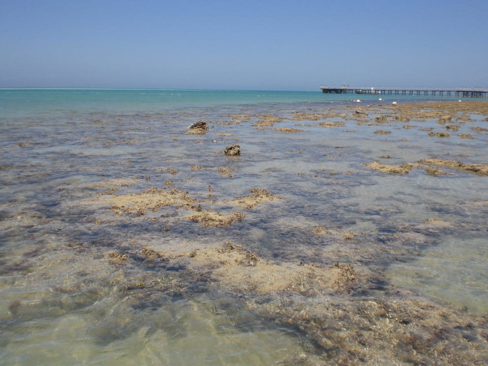 Viele Steine im Meer Le Jardin Aqua Park Resort