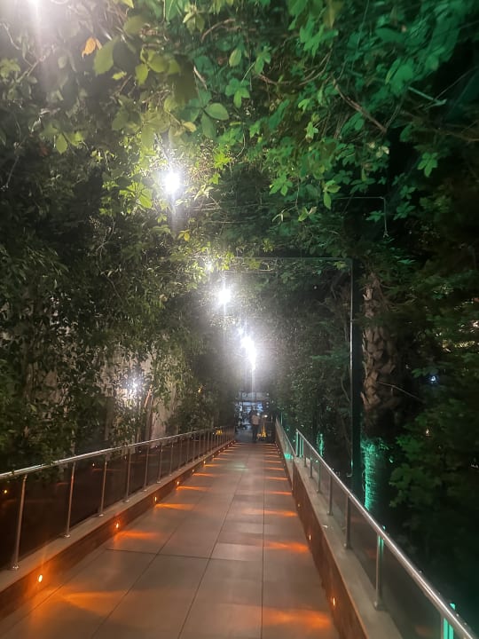 Gartenanlage Hane Family Resort