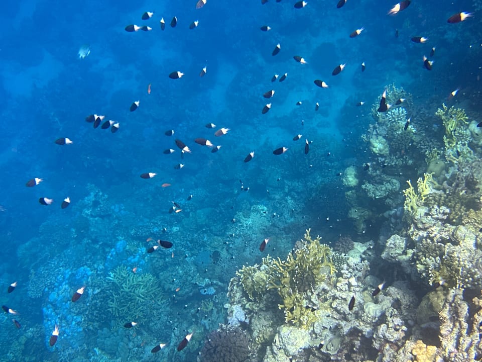 Strand Casa Mare Resort