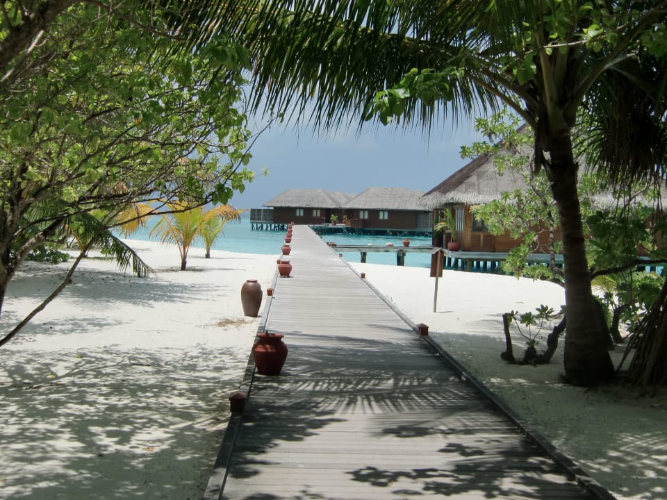 Steg zu Jacuzzi Water Villas (701-733) Meeru Maldives Resort Island