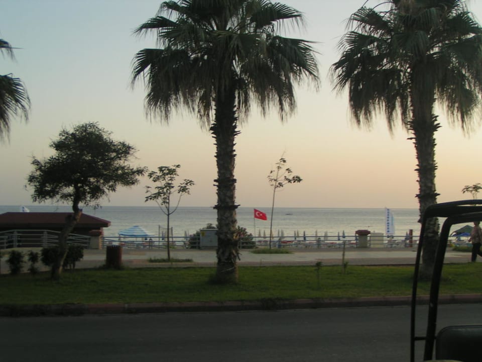 Plaża nocą  Kleopatra Celine Hotel